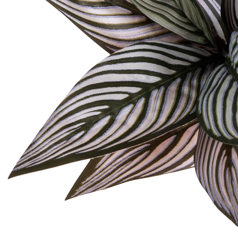 3 Pezzi • Ramo foglia calathea 39 foglie artificiale •  70 cm