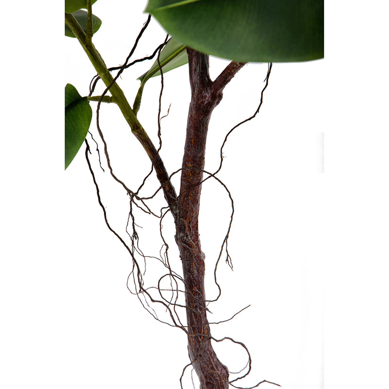 Verde artificiale Real touch rubber ficus con vaso • 210 cm