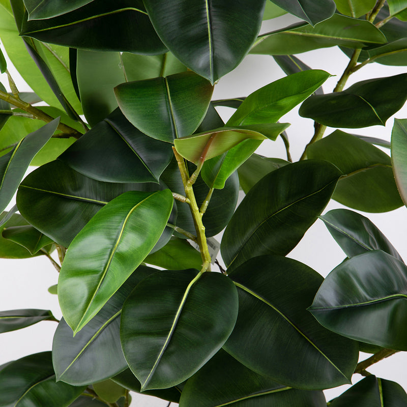 Verde artificiale Real touch rubber ficus con vaso • 210 cm