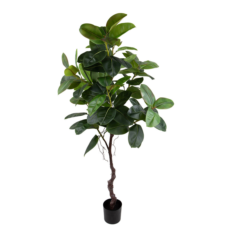 Verde artificiale Real touch rubber ficus con vaso • 210 cm