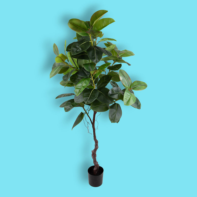 Verde artificiale Real touch rubber ficus con vaso • 210 cm