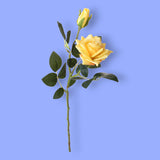 Rosa per 5 fiori Dry Look • 65 cm