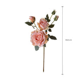 Rosa per 5 fiori Dry Look • 65 cm