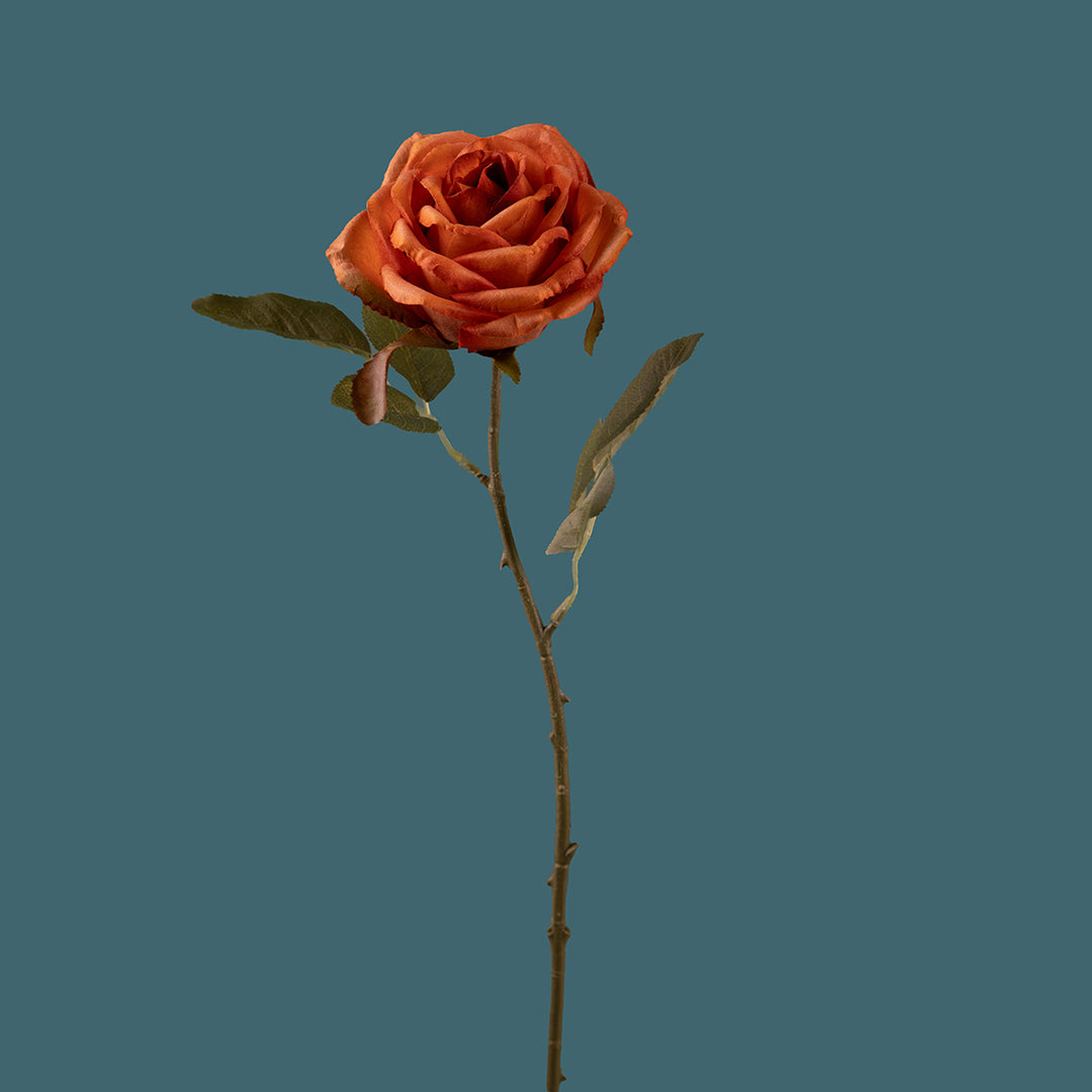 8 Pezzi • Rose artificiali aperte • 51 cm