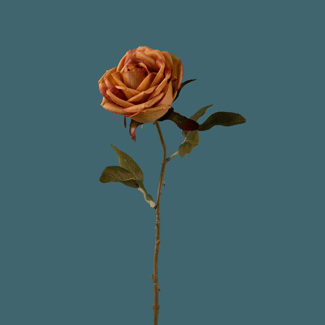 8 Pezzi • Rose artificiali aperte • 51 cm
