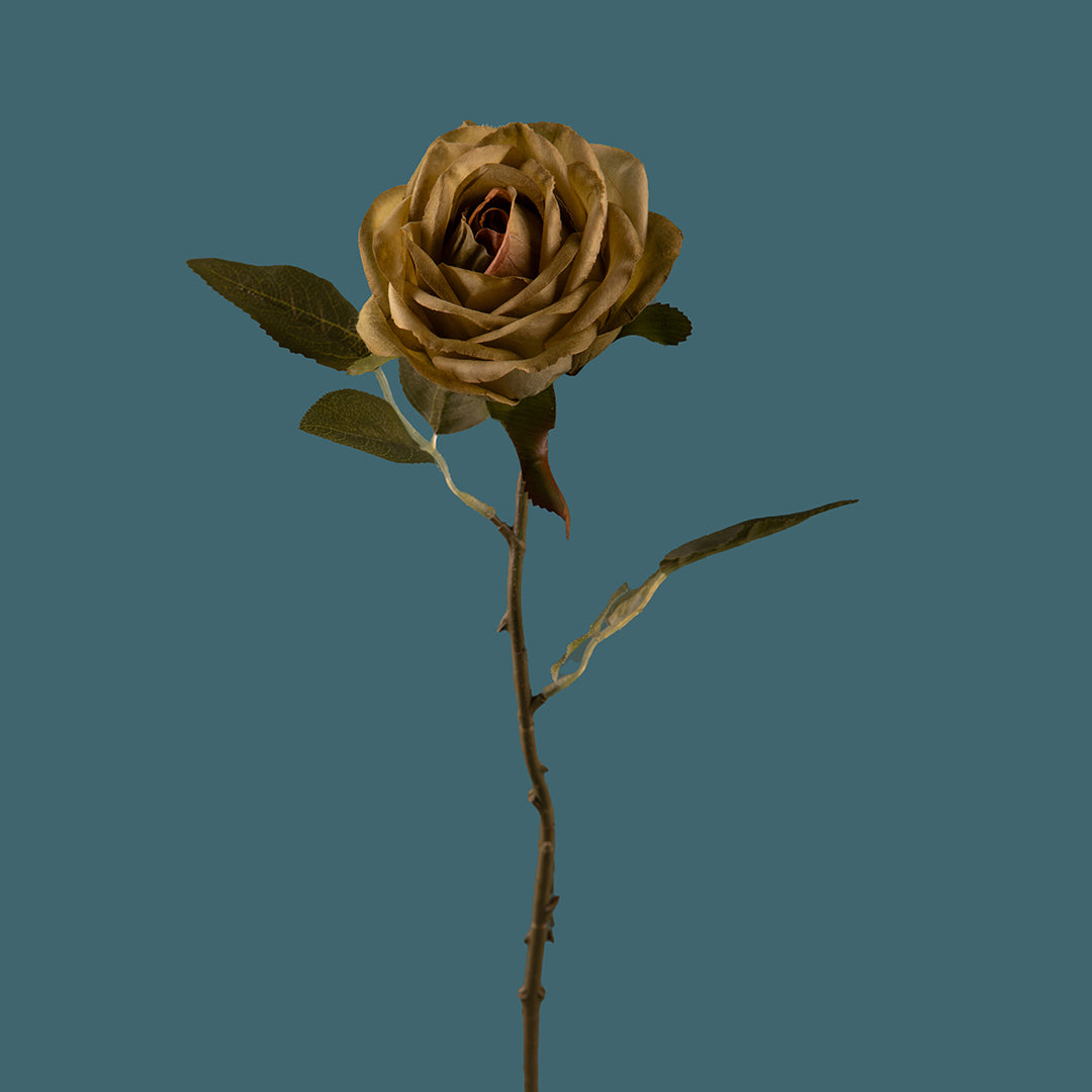 8 Pezzi • Rose artificiali aperte • 51 cm
