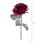 Rosa con 11 Foglie Aperta • 66 cm