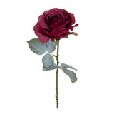 Rosa con 11 Foglie Aperta • 66 cm