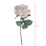 Rosa con 11 Foglie Aperta • 66 cm