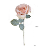Rosa con 11 Foglie Aperta • 66 cm