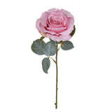 Rosa con 11 Foglie Aperta • 66 cm