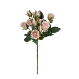 Rosa Inglese con 6 Fiori E 4 Bocci • 55 cm