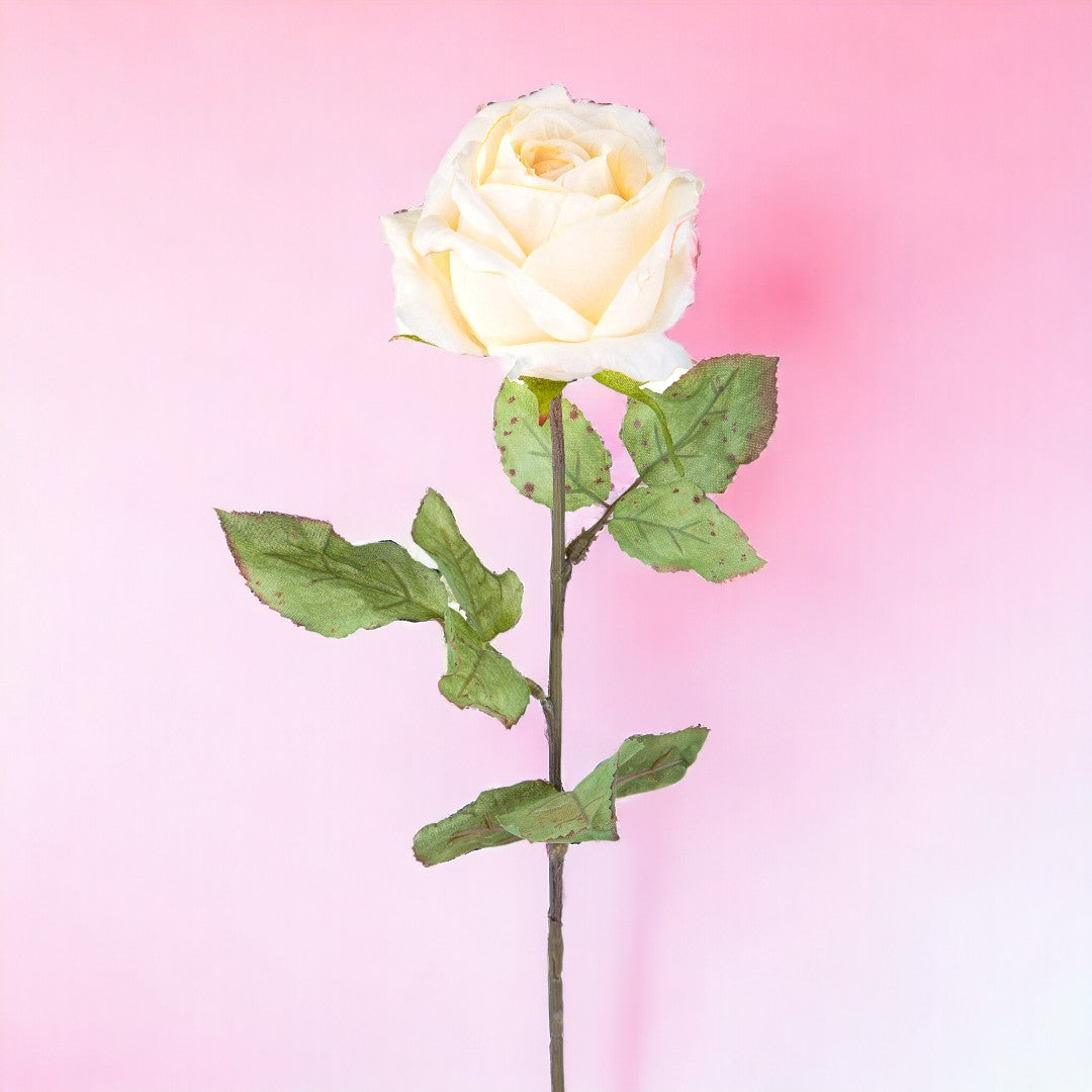 4 Pezzi • Rose artificiali con dry • 62 cm