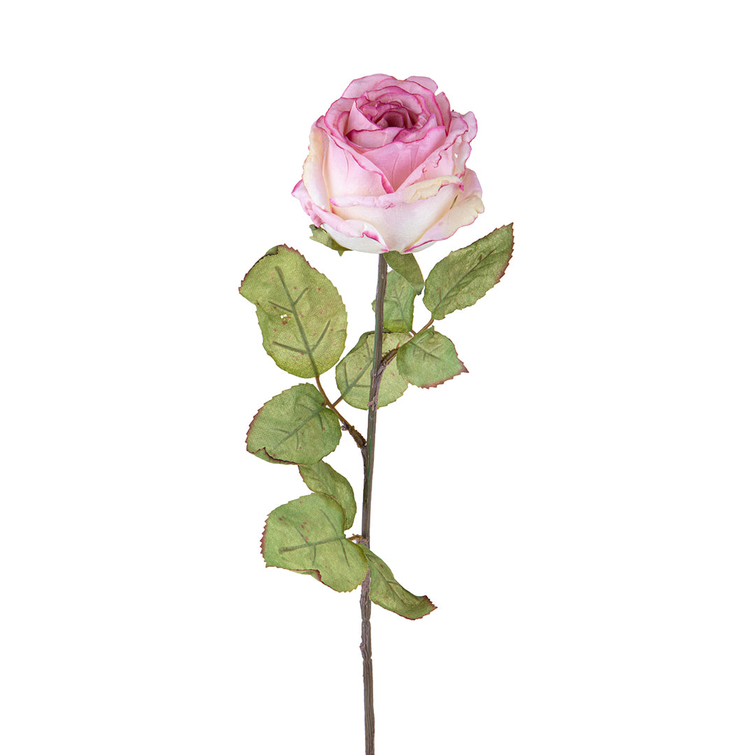 3 Pezzi • Rose artificiali con dry • 62 cm