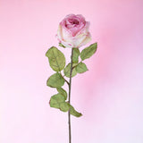 3 Pezzi • Rose artificiali con dry • 62 cm