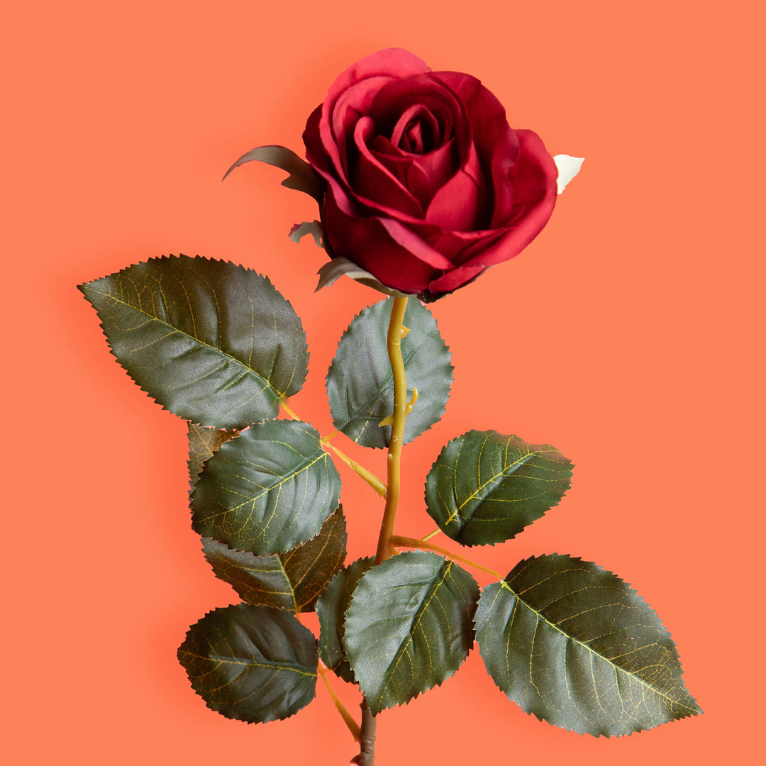 8 Pezzi • Rose artificiali bacarat • 67 cm