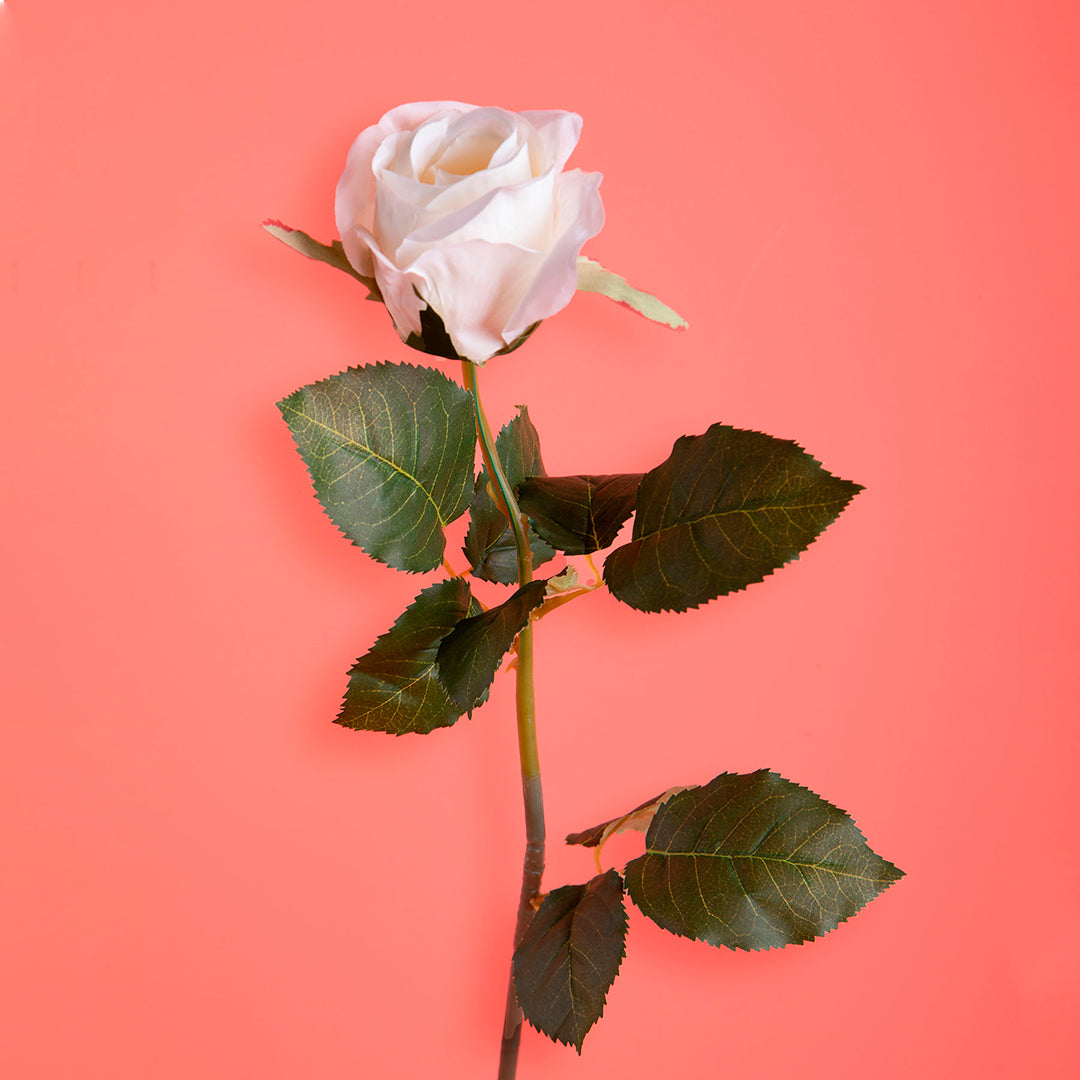 8 Pezzi • Rose artificiali bacarat • 67 cm