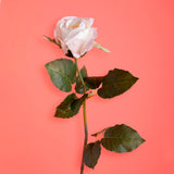 8 Pezzi • Rose artificiali bacarat • 67 cm