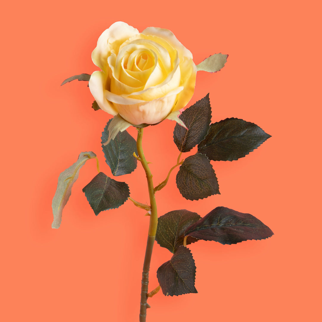 8 Pezzi • Rose artificiali bacarat • 67 cm