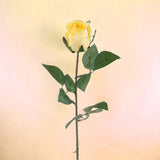 8 Pezzi • Rosa in boccio artificiale • 67 cm