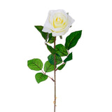 4 Pezzi • Rose artificiali singole • 67 cm