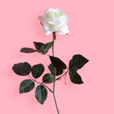 8 Pezzi • Rose artificiali singole • 67 cm