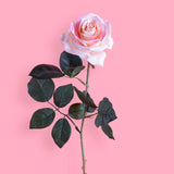 8 Pezzi • Rose artificiali singole • 67 cm