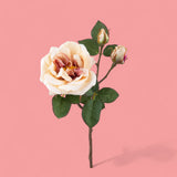 3 Pezzi • Rose artificiali inglese • 48 cm