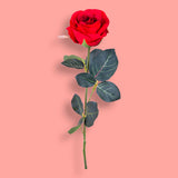 8 Pezzi • Rose artificiali semi aperte • 37 cm