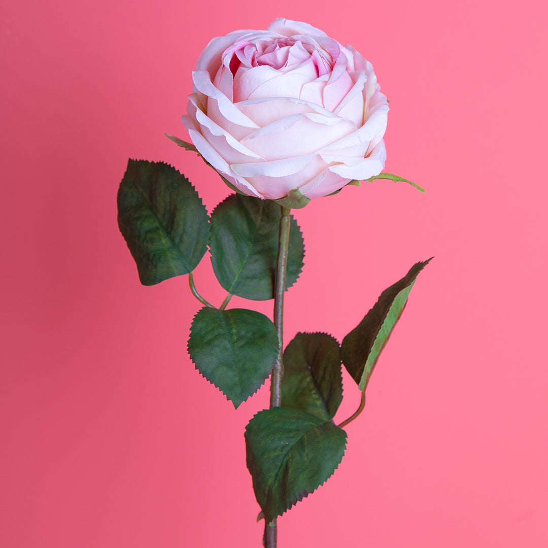 8 Pezzi • Rose artificiali singole • 67 cm