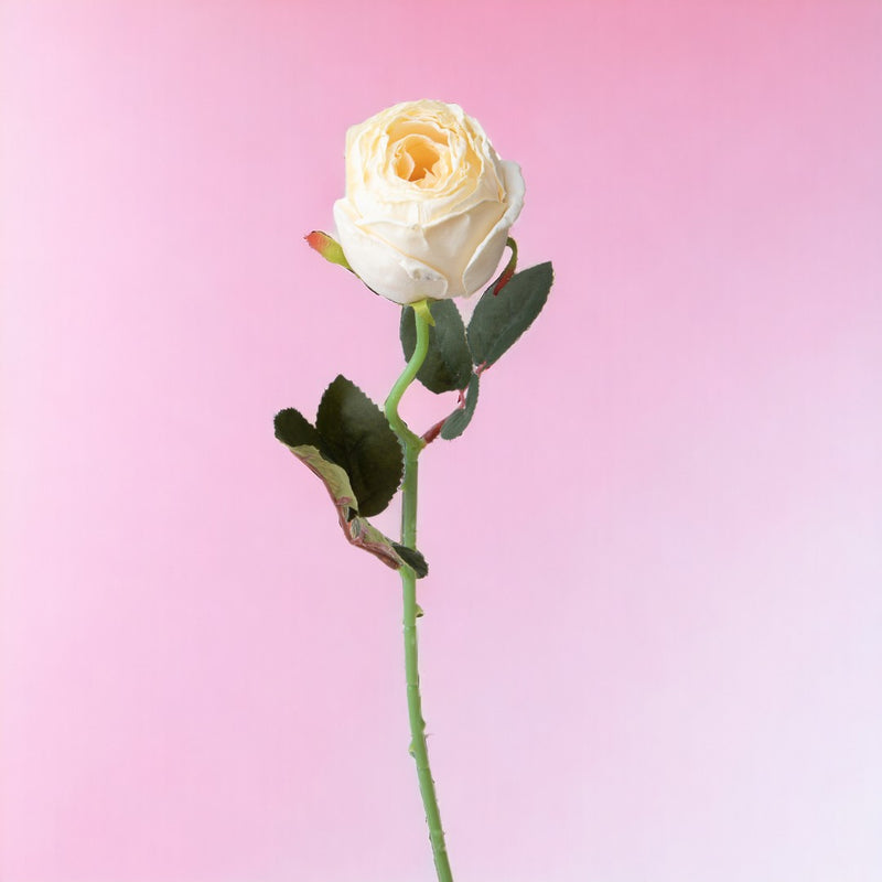 8 Pezzi • Rose artificiali boccio • 50 cm