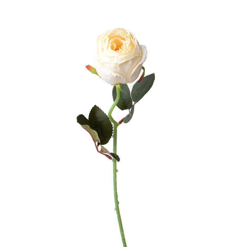 8 Pezzi • Rose artificiali boccio • 50 cm