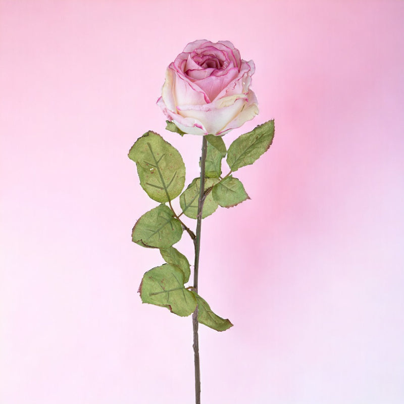 3 Pezzi • Rose artificiali con dry • 62 cm