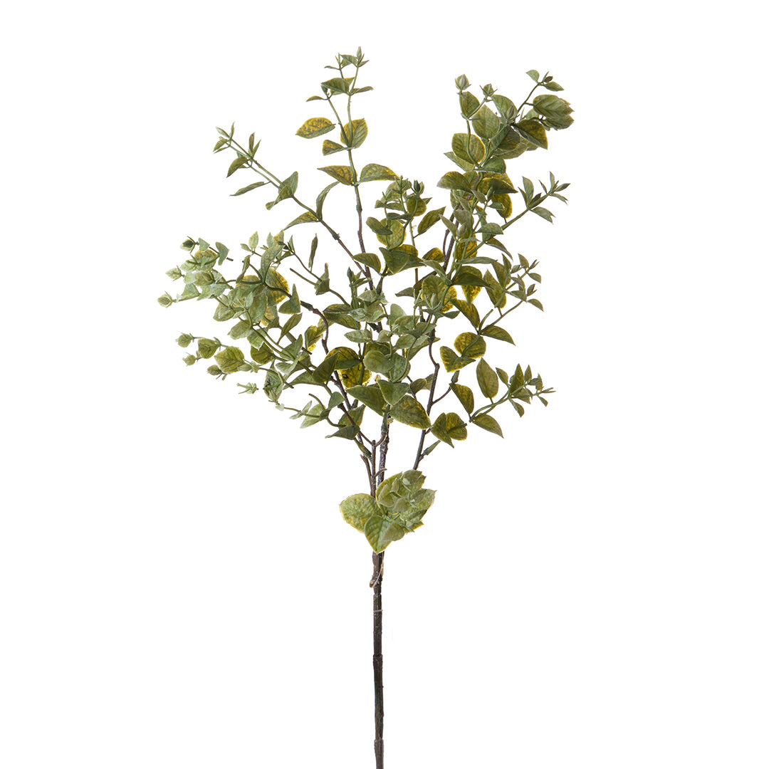 2 Pezzi • Ruscus orientale artificiale •  68 cm