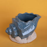 Vaso conchiglia con base • 11 cm