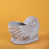 Vaso conchiglia con base • 14 cm