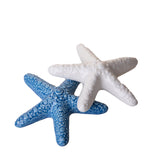 2 Pezzi • Decorazione marina Stella Marina • 3 mt