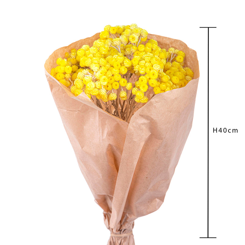 2 Pezzi • Semprevivo immortelle mazzo • 42,5 cm