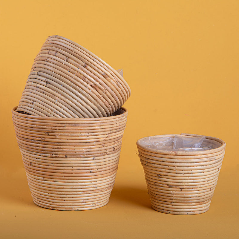 Set e 3 cachepot in rattan • 22 cm