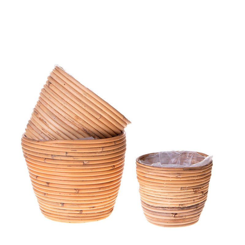 Set e 3 cachepot in rattan • 22 cm