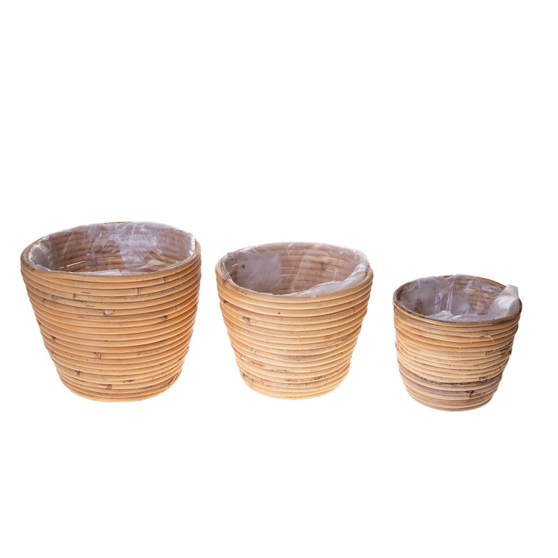 Set e 3 cachepot in rattan • 22 cm