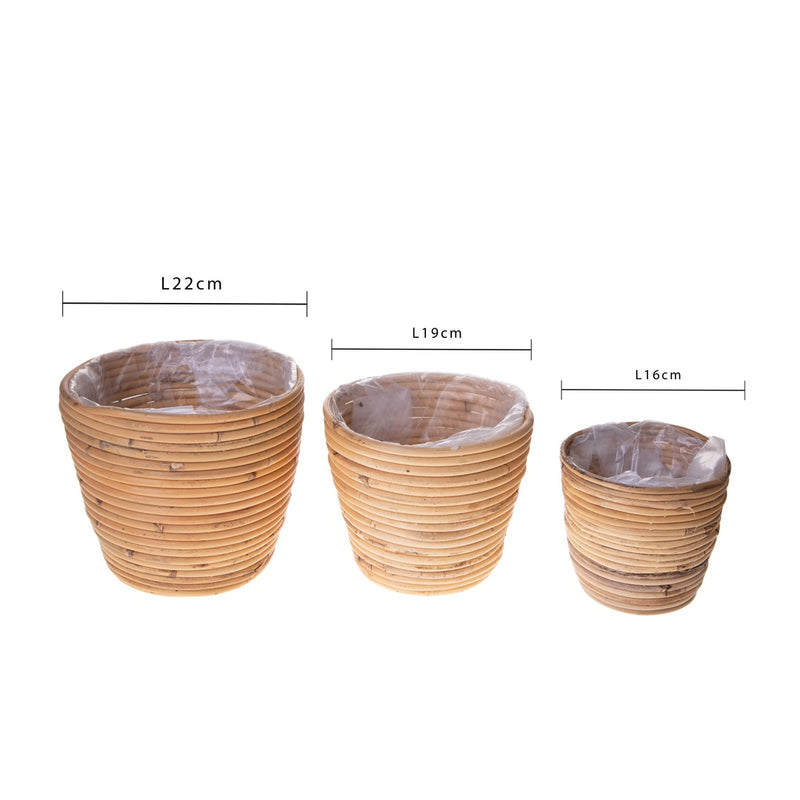 Set e 3 cachepot in rattan • 22 cm