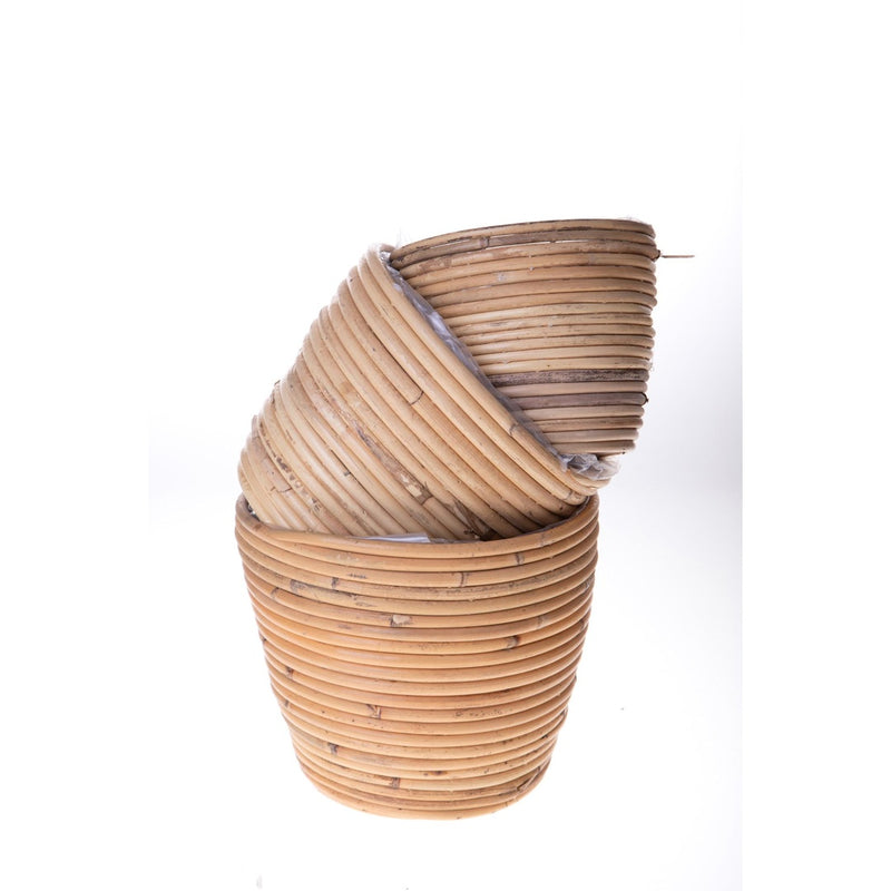 Set e 3 cachepot in rattan • 22 cm