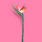 3 Pezzi • Fiore di Strelizia artificiale • 83 cm