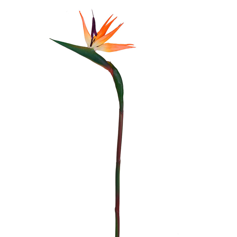 3 Pezzi • Fiore di Strelizia artificiale • 85 cm