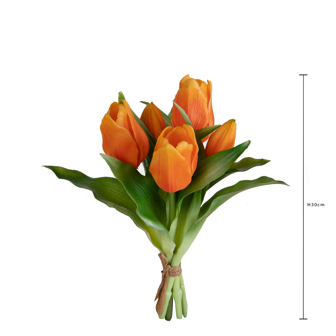 Tulipano Mazzo 5 pezzi • 30 cm