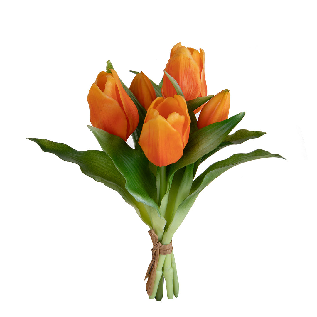 Tulipano Mazzo 5 pezzi • 30 cm