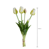 Tulipano Mazzo 5 pezzi • 48 cm