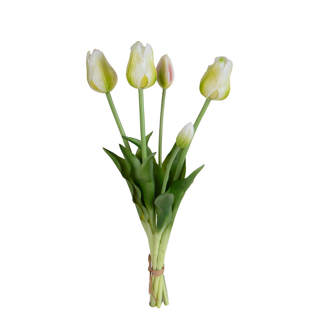 Tulipano Mazzo 5 pezzi • 48 cm