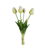 Tulipano Mazzo 5 pezzi • 48 cm